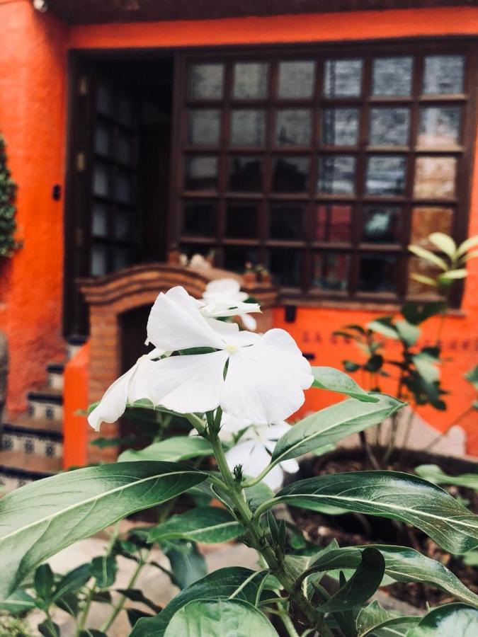 Casa Azul Hotel Guanajuato Buitenkant foto